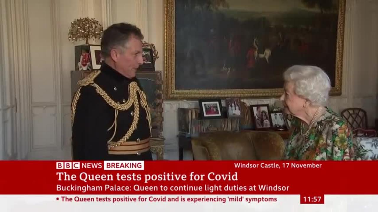 queen positive covid