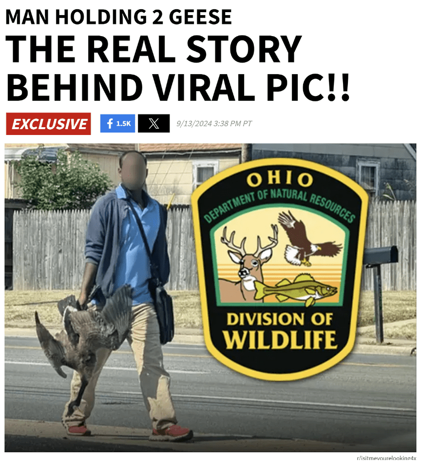 海地移民吃宠物谣言如何从三手八卦登上了总统辩论- 辟谣吧